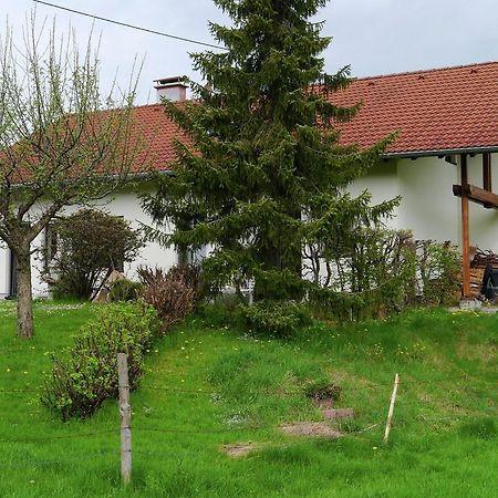 Cosy Apartment In Allg U With Garden Oy-Mittelberg Luaran gambar